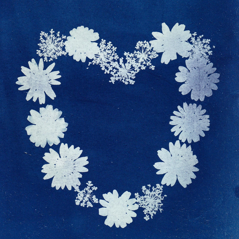 Atelier cyanotype à Angers et Tiercé - art-thérapie